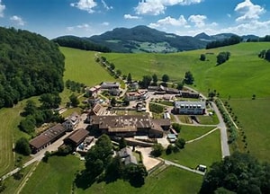 Musikautomaten Museum Sektionsreise Nordwestschweiz